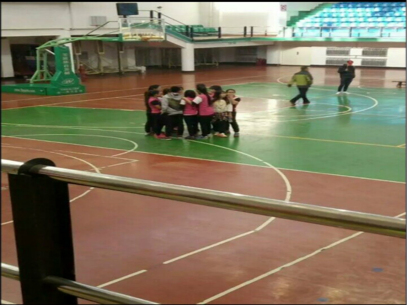 生命科学学院女排在校排球比赛中荣获季军