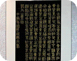 add194ac5ef2154460a999d6c78cd015